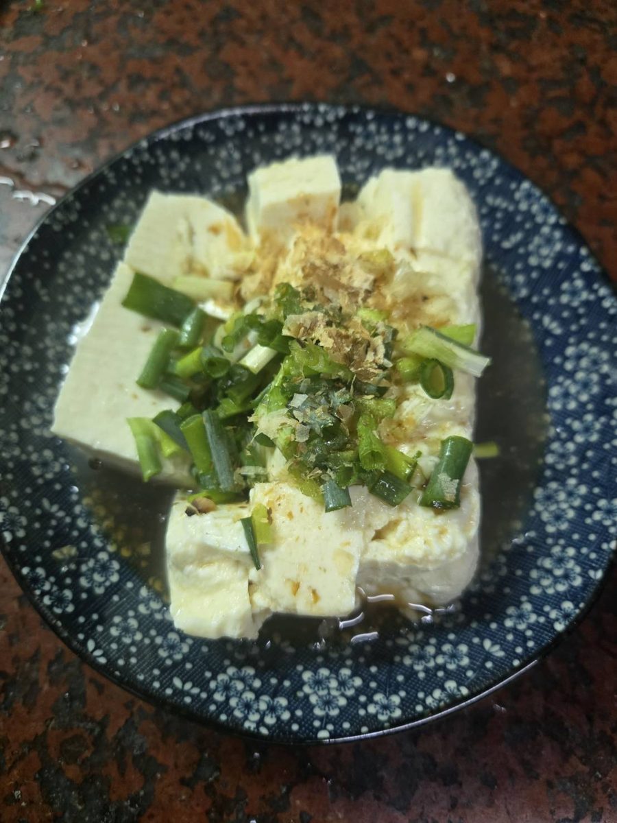 柴魚蔥花湯豆腐